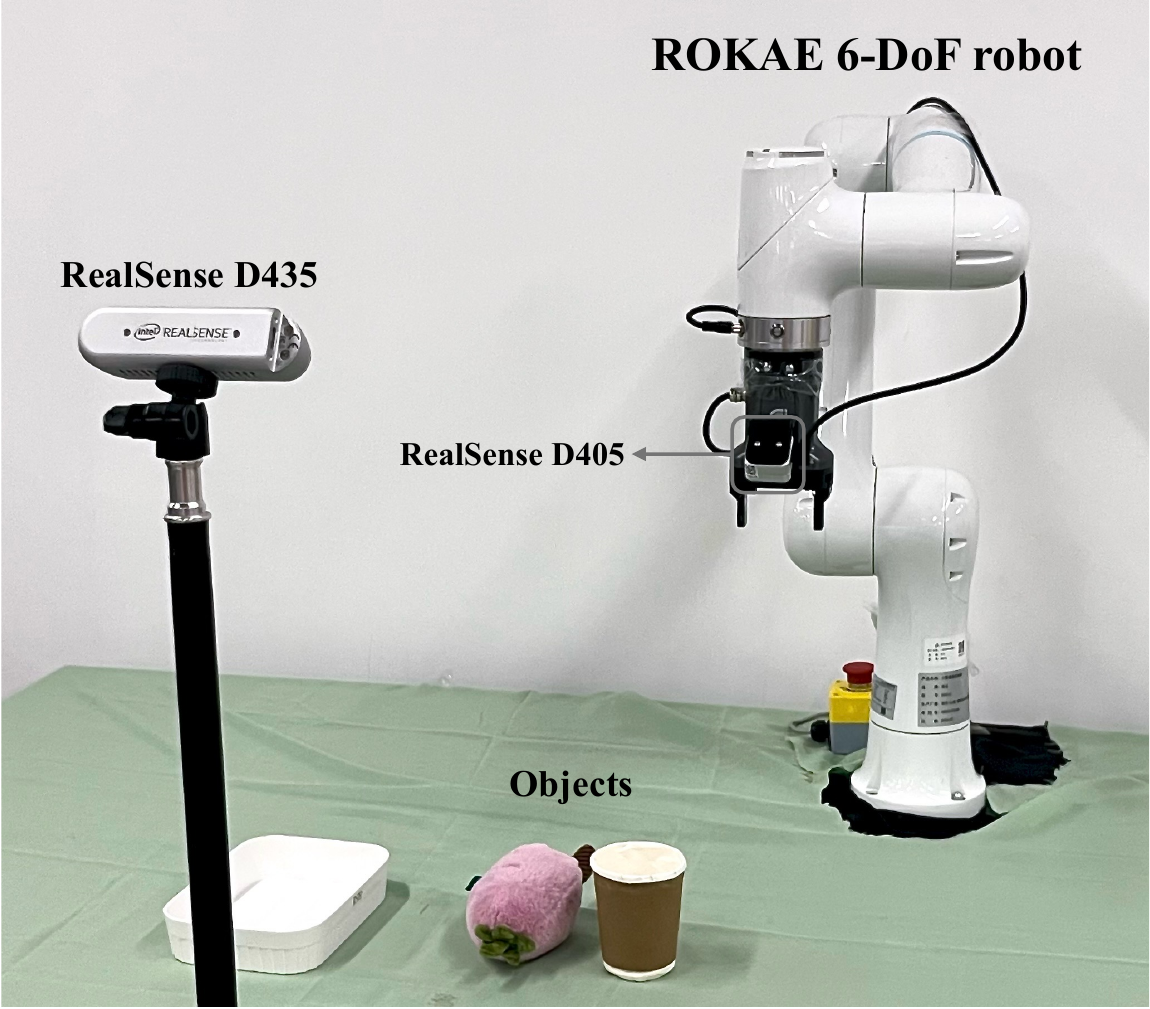 Real-world experimental setup with a ROKAE 6-DoF robot and two cameras